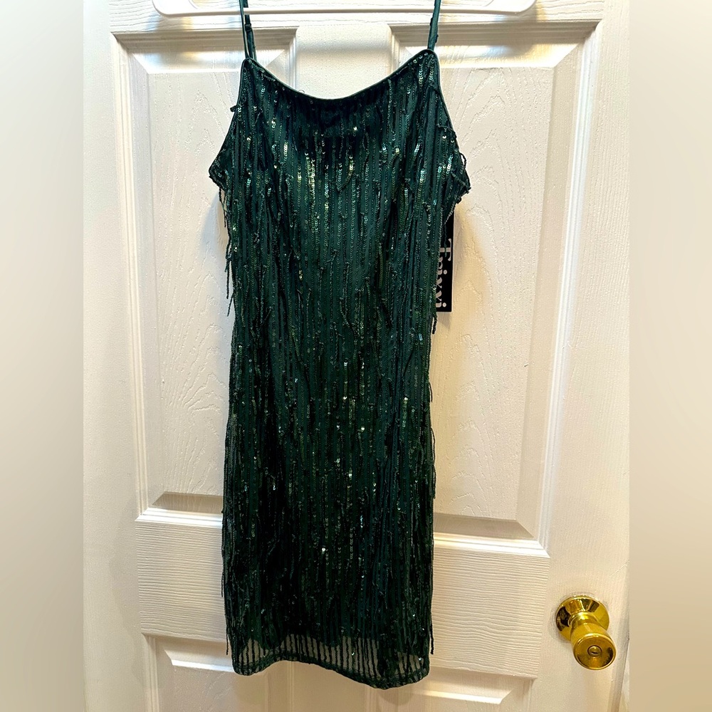 NWT Sparkly Hunter Green Party dress